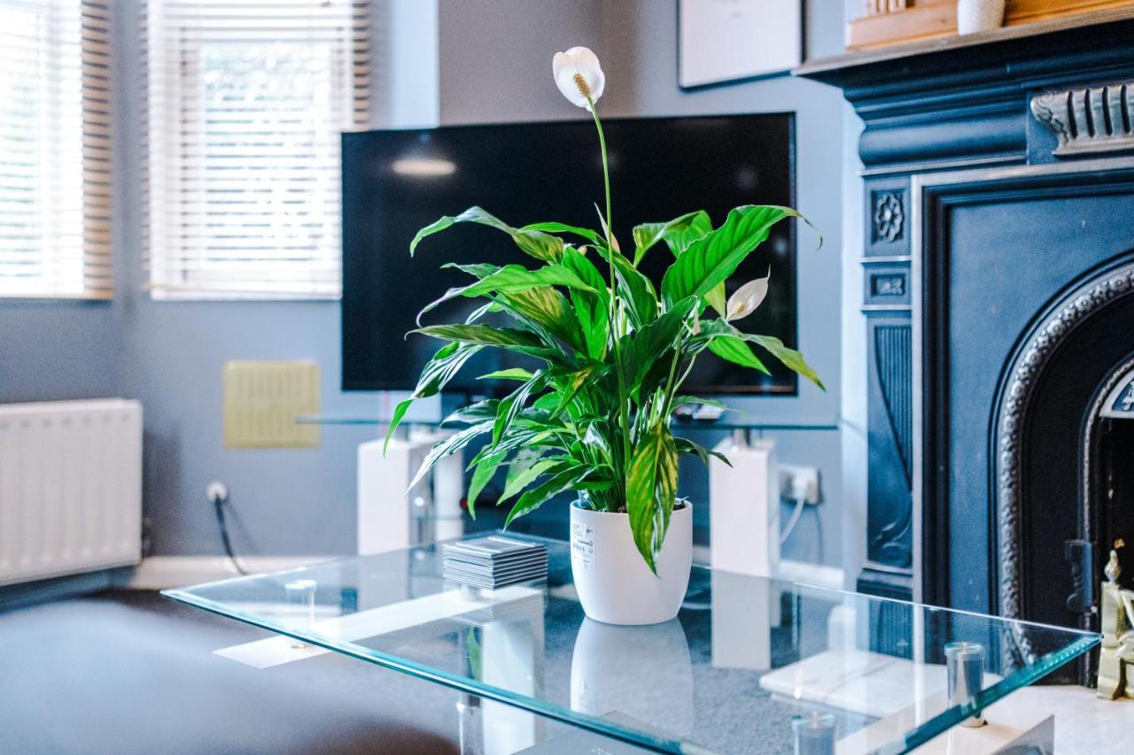 Spacious Modern Chester Home - Great Location ภายนอก รูปภาพ